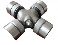 Cruz Cardanica (seguridad interna)